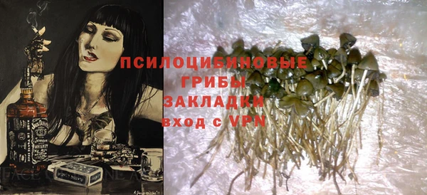 шишки Балахна