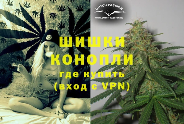 шишки Балахна