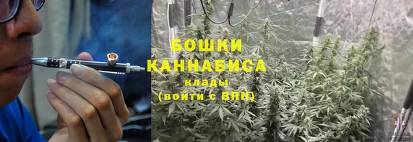 шишки Балахна